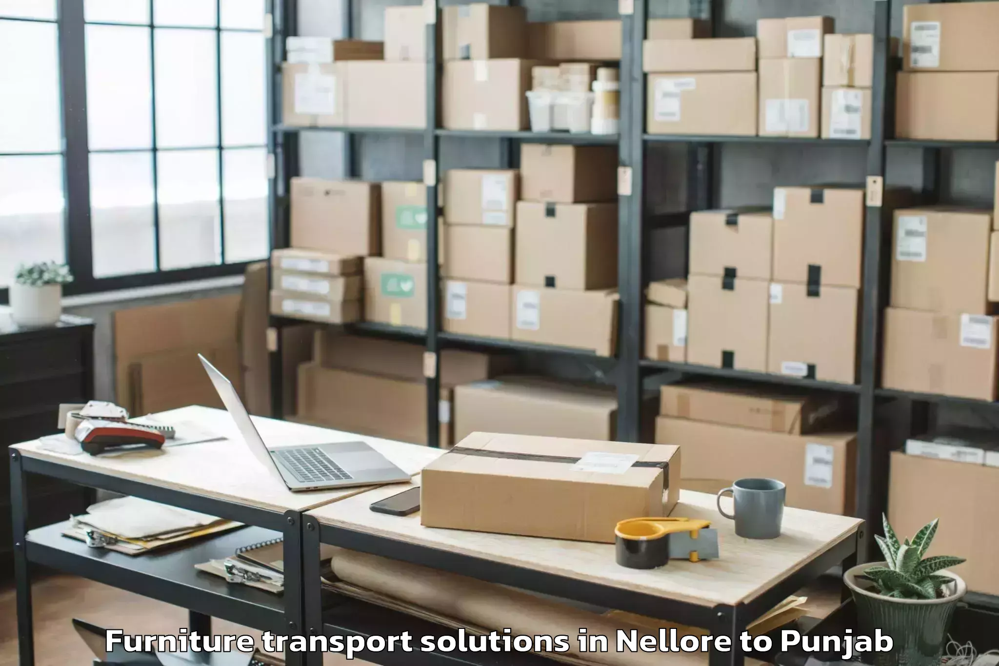 Nellore to Adampur Jalandhar Furniture Transport Solutions